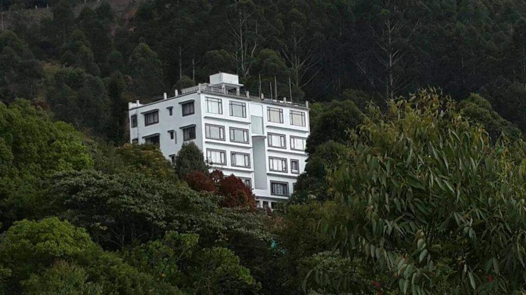 Příroda nedaleko rezortu