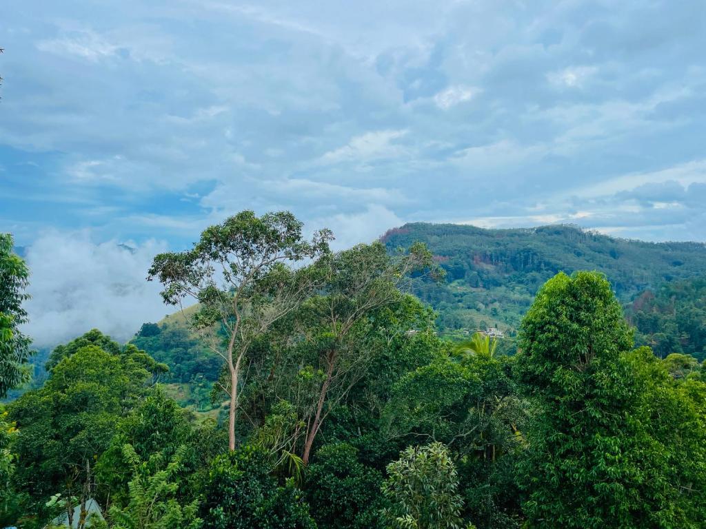 Příroda nedaleko bed and breakfast