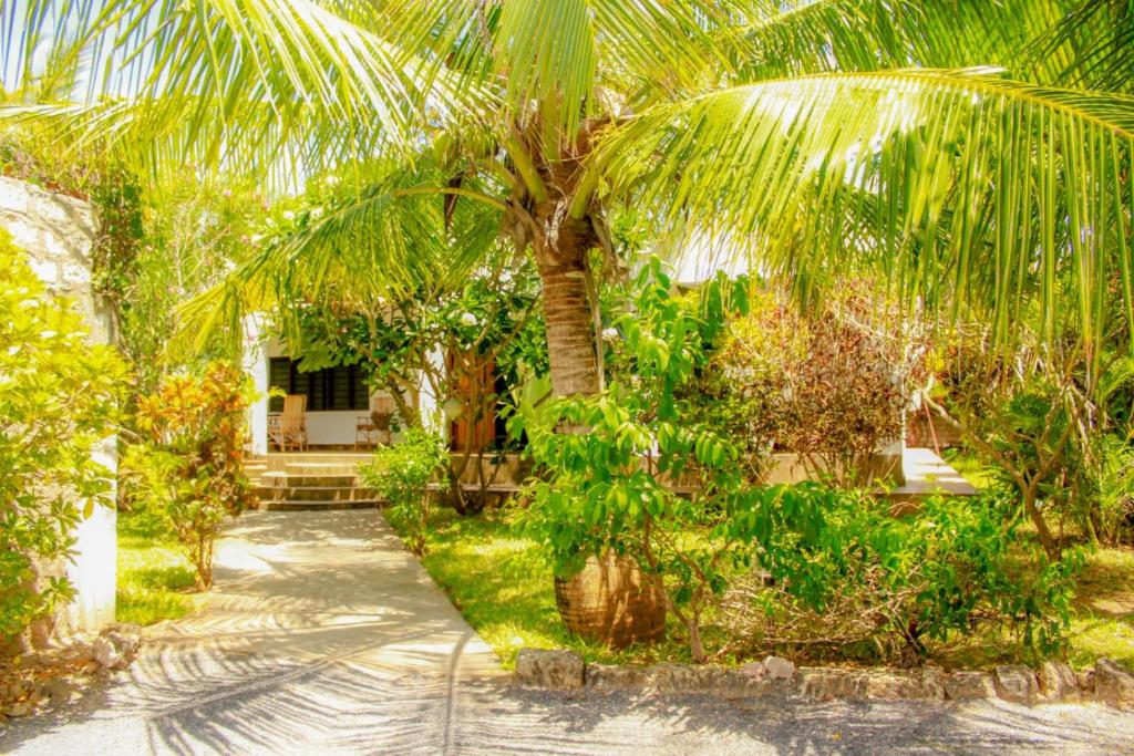 una palmera delante de una casa en Mwazhouse, en Watamu