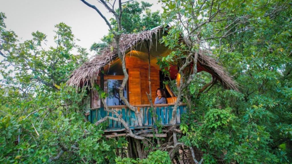 Příroda nedaleko hotelu