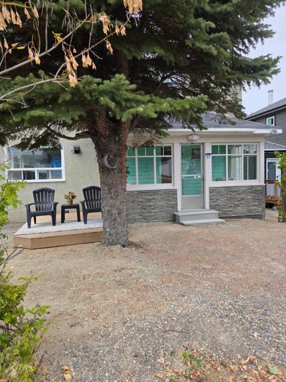 una casa con dos bancos delante de un árbol en Cozy 2-bedroom Downtown Apartment Campbellton Walk to Cafés & Shops, en Campbellton