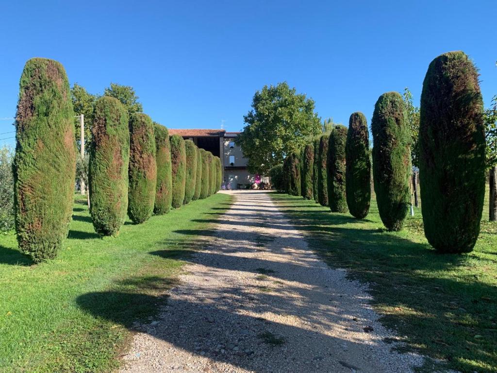 Zahrada ubytování Agriturismo Corte Bonetti