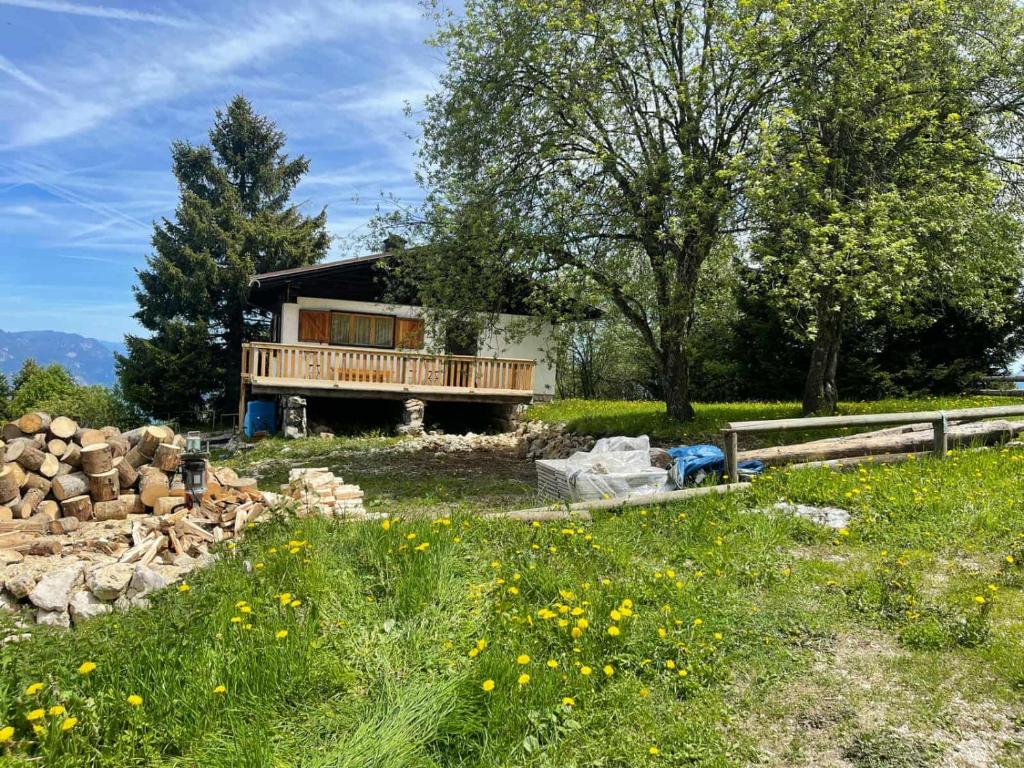 a house in a field with a pile of logs at Casa nel Bosco in Trento