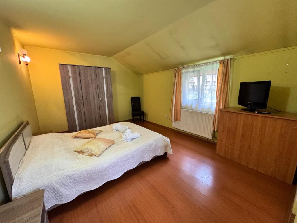 Pensiunea Paco - Resim 5