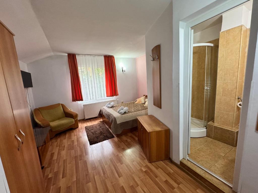 Pensiunea Paco - Resim 3