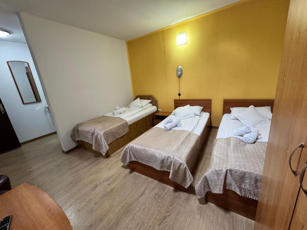 Pensiunea Paco - Resim 42