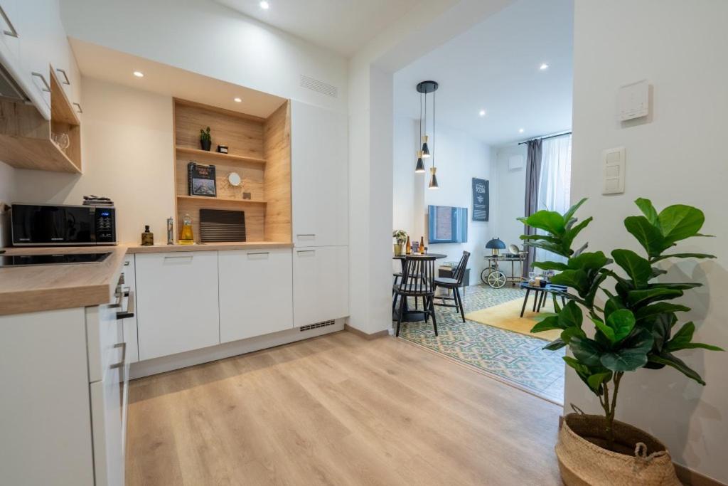 een keuken met witte kasten en een potplant bij Appartement au centre de Jambes-Namur Sleep & Repeat in Jambes