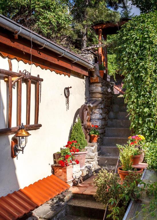 A garden outside Penzion Barborka