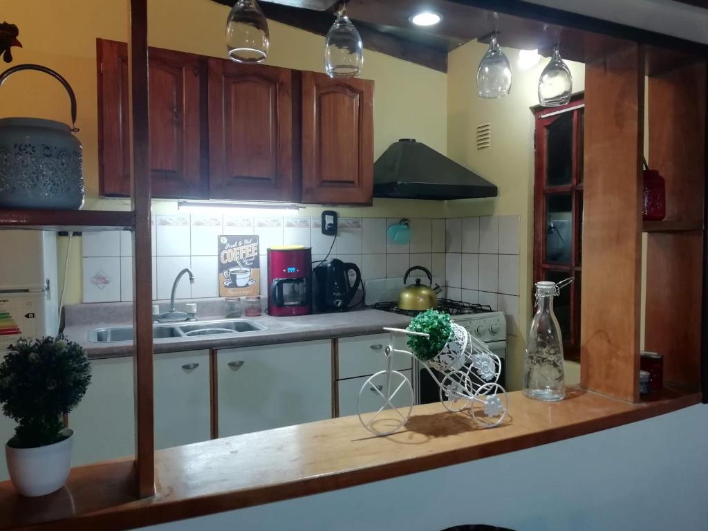 een keuken met houten kasten en een aanrechtblad bij Husky casa de montaña in Ushuaia