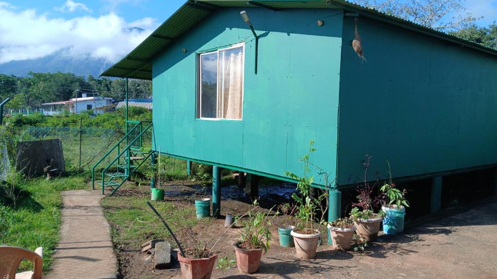 Zahrada ubytování BeingWild Resort