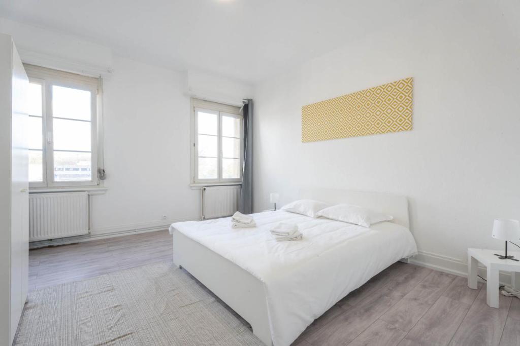 Magnifique Appartement Mulhouse Stationnement Gratuit – photo 12