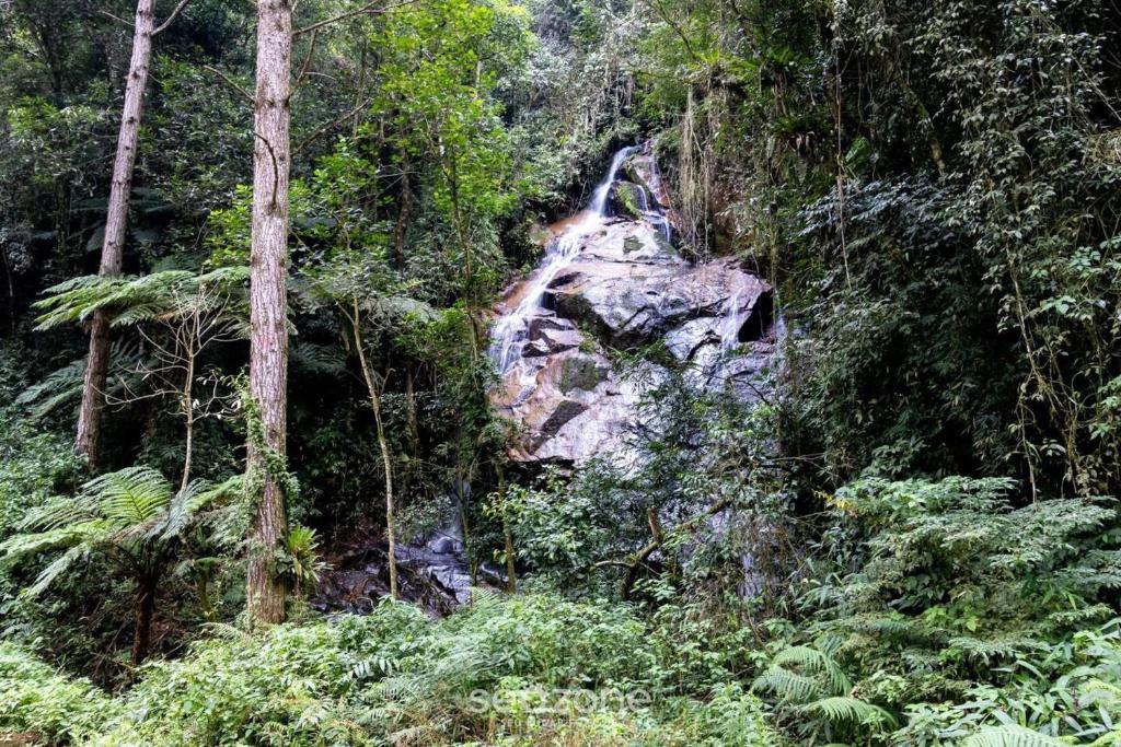 a waterfall in the middle of a forest at Linda cabana com jacuzzi e vista incrível VST004 in São Paulo dos Pinhais