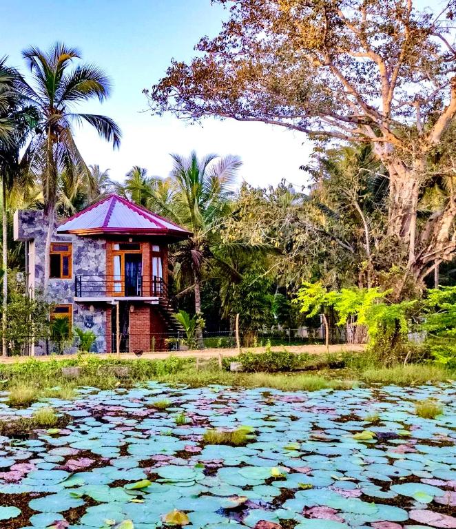 a house with a pond of water lilies at Romantic Jungle Hideaway in Tangalle