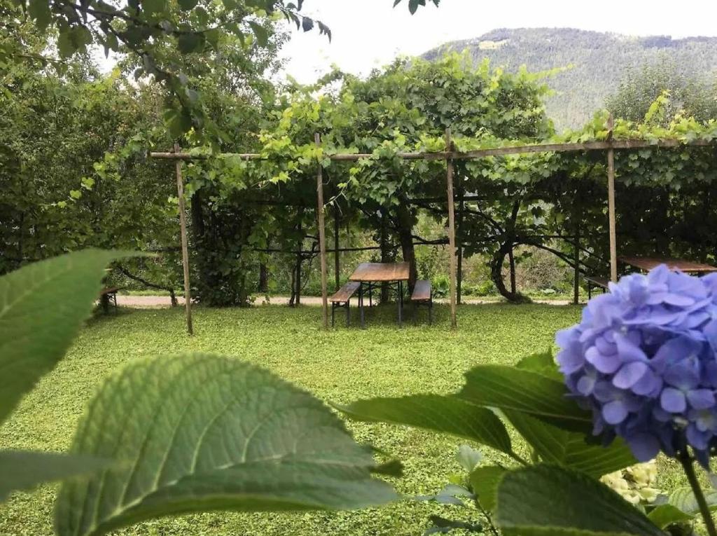 Κήπος έξω από το Chalet ValNevera