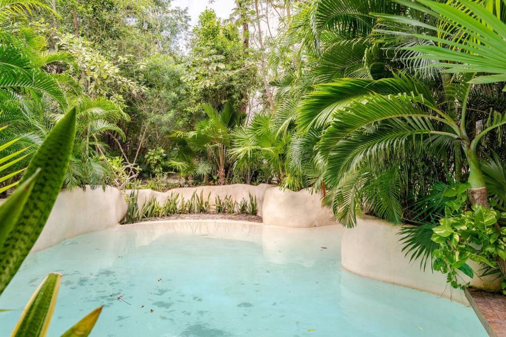 une piscine dans un jardin planté de palmiers dans l'établissement Refugio de Lujo en Tulum, à Tulum