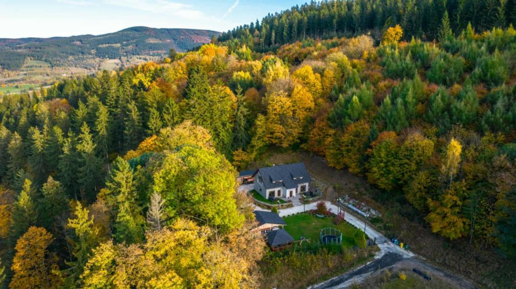 an aerial view of a house in a forest at Apartamenty Quattro in Stronie Śląskie
