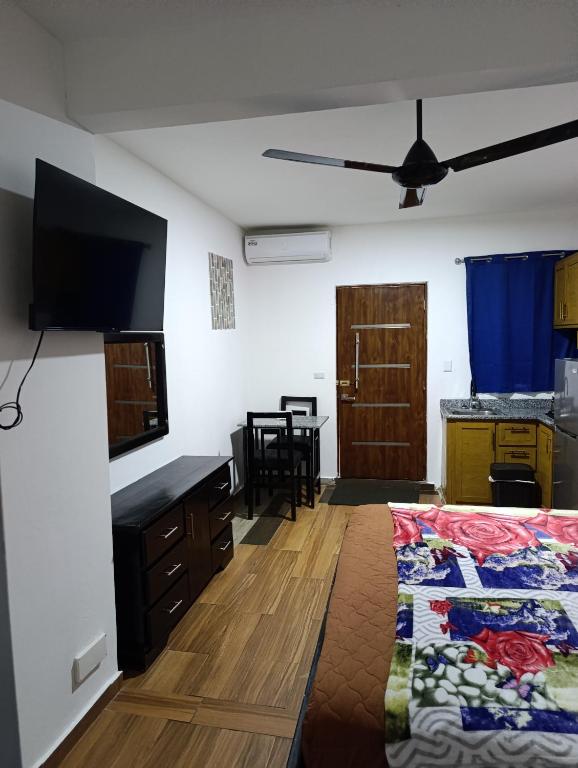 a living room with a bed and a flat screen tv at Apart Hotel Costa Verde - #2 Exclusivo y Seguro cama King zise in Las Galeras