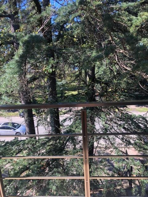 a view from a window of a tree at Three Pines in Kobuleti