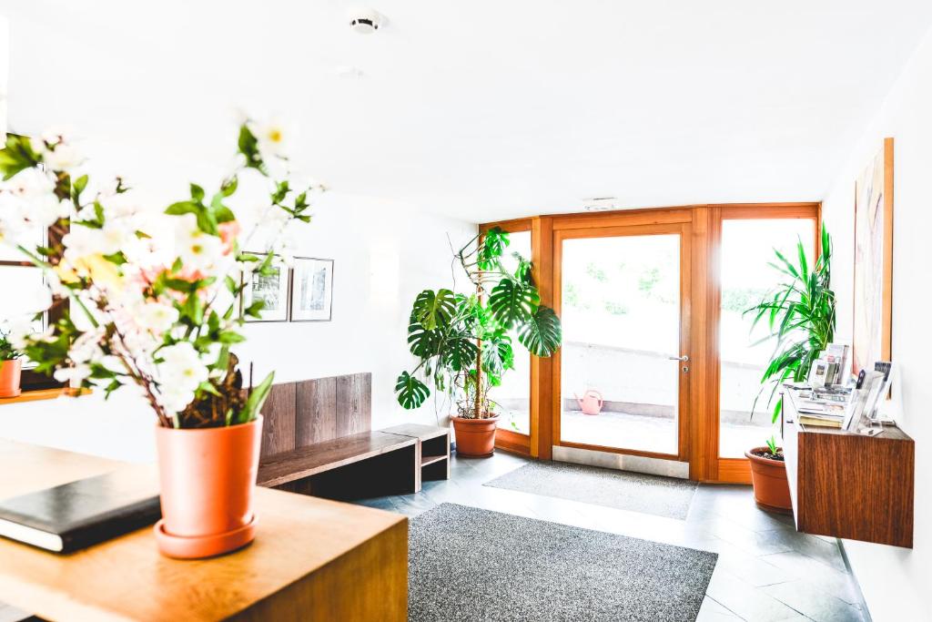 Hotel-Pension Hoferhaus - 19