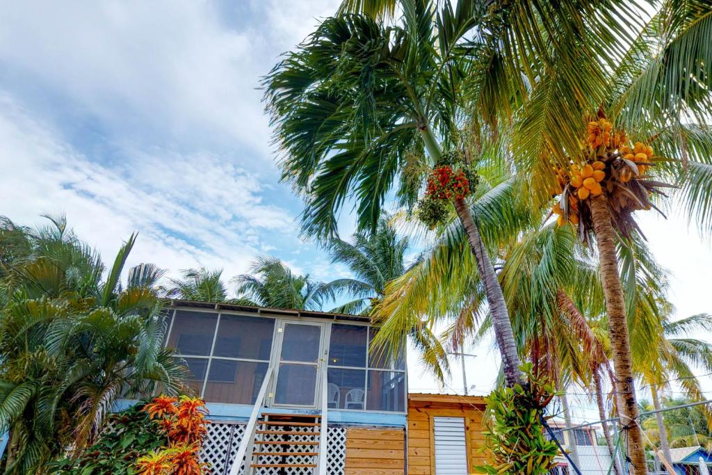 a building with palm trees in front of it at Bonefish at Carol's Cabanas -Gold Standard Certified in Placencia Village