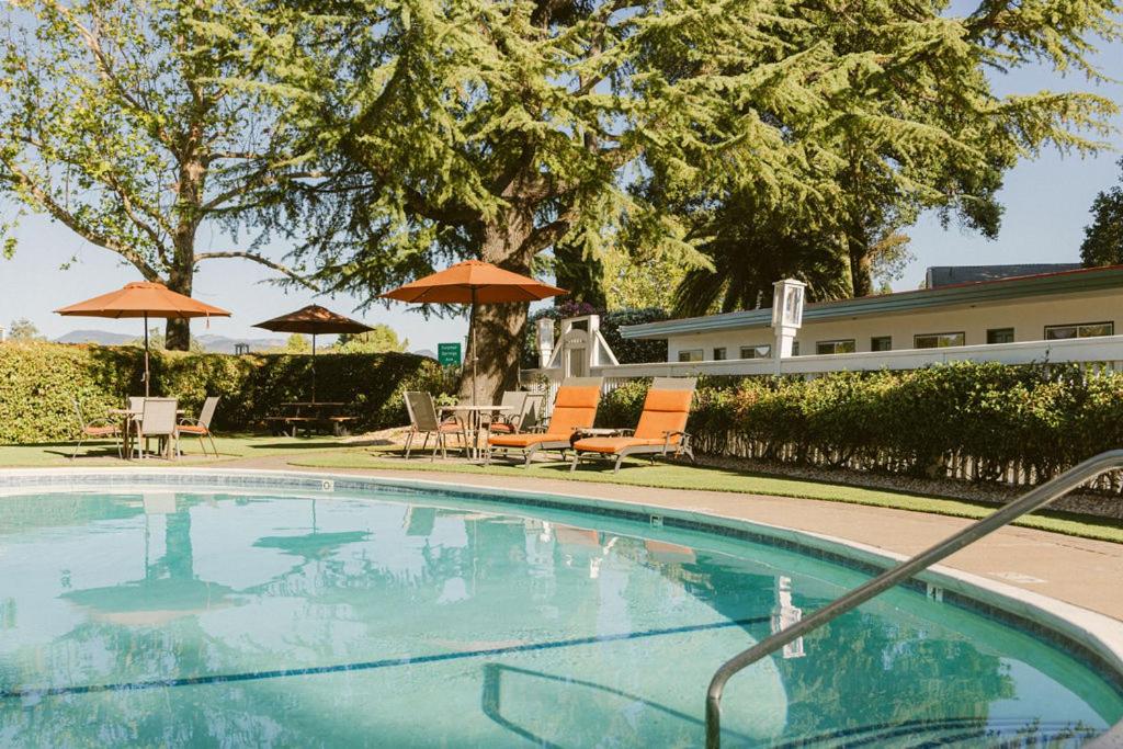 El Bonita Motel photo