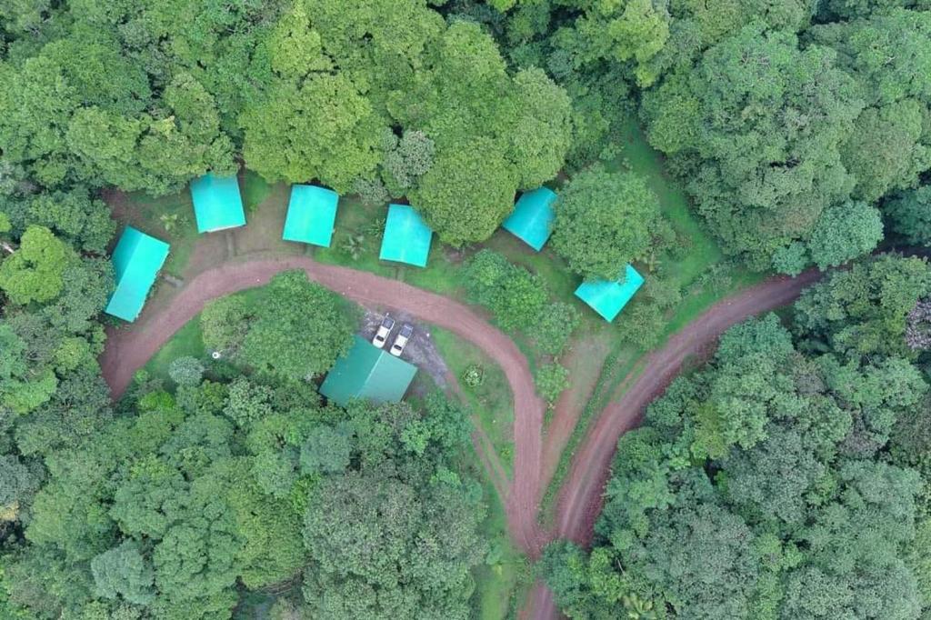 Příroda nedaleko hostelu