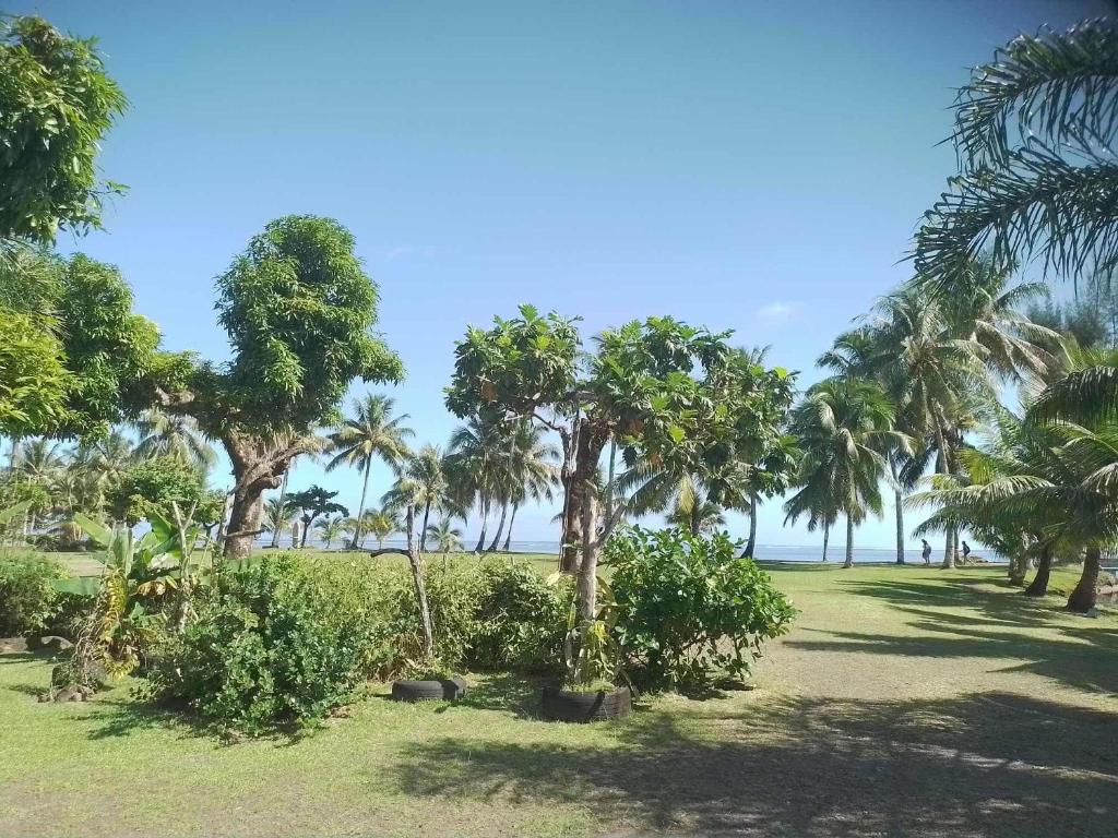 TeahupooにあるSidonie parkerのギャラリーの写真