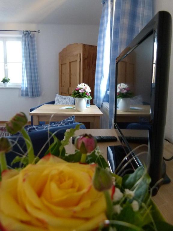 TV a/nebo společenská místnost v ubytování Hotel Fischachstubn