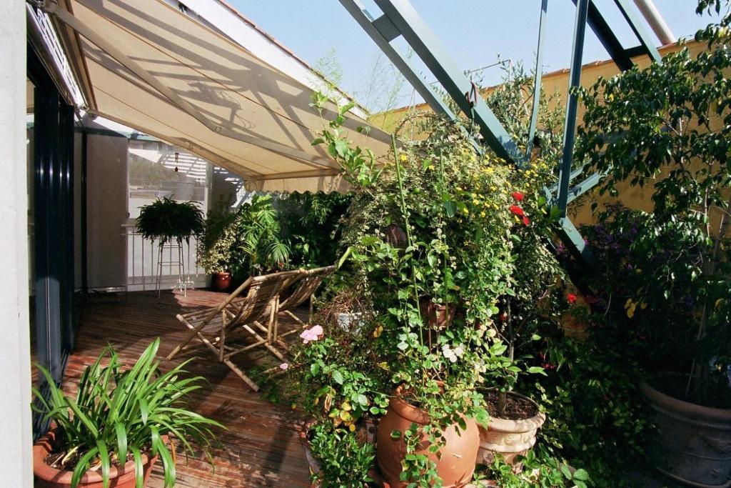 une serre pleine de plantes et de fleurs dans l'établissement Loft de Cannes B&B, à Cannes