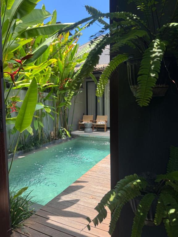 The Clifton Canggu - 15