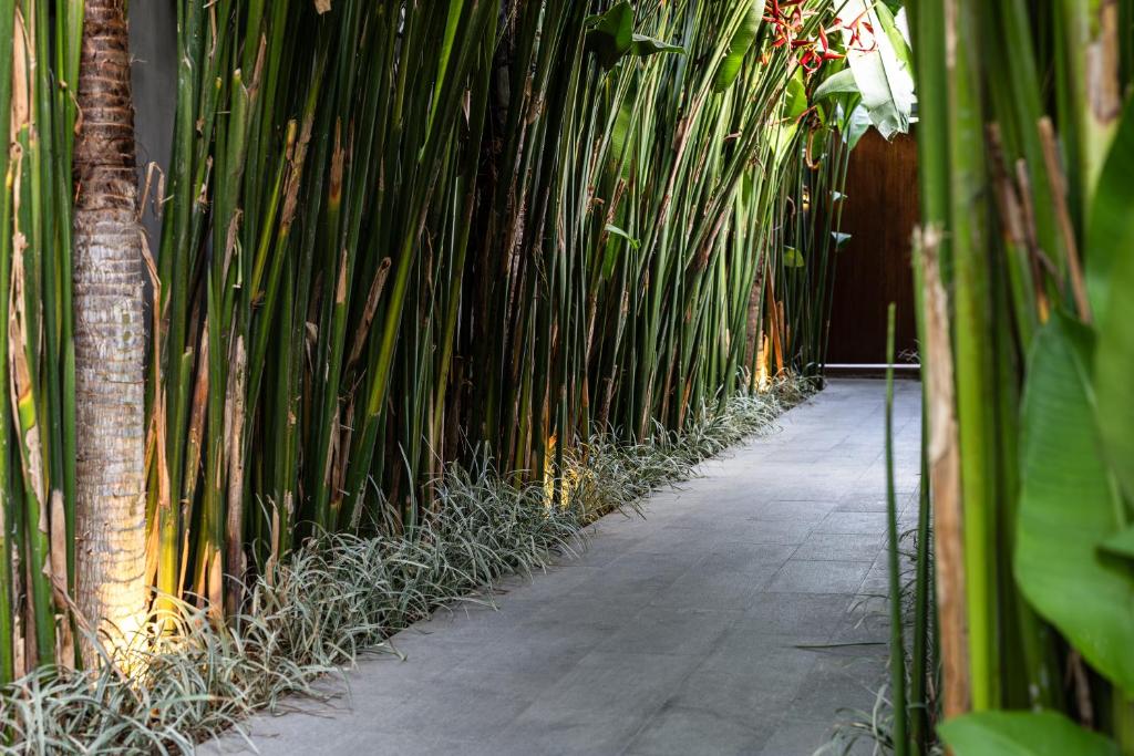 The Clifton Canggu - 18