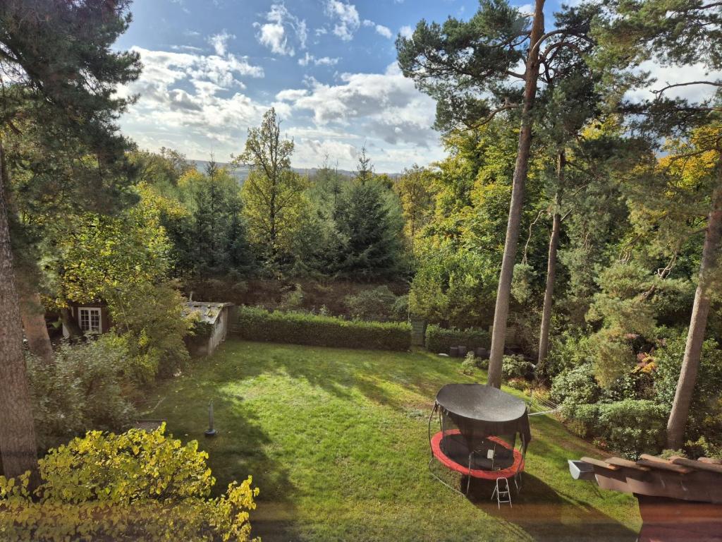 Zahrada ubytování Spitzbodennest am Wald