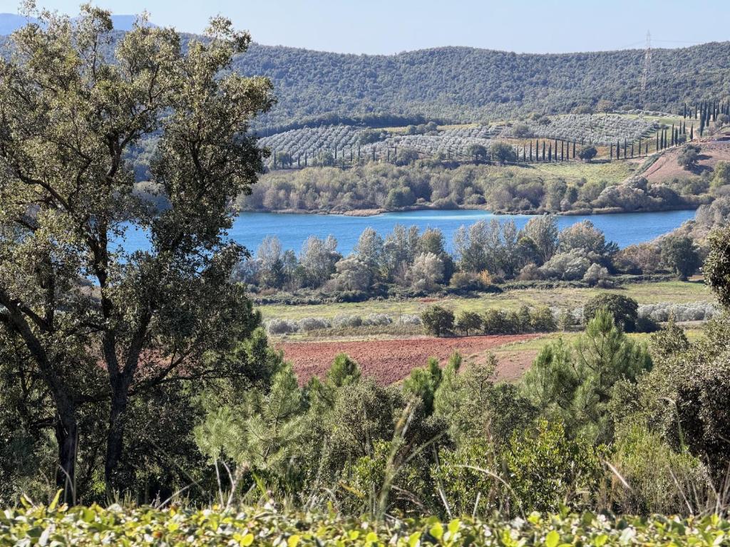 Alma del Lago - Charming Apartments- il Carpignone