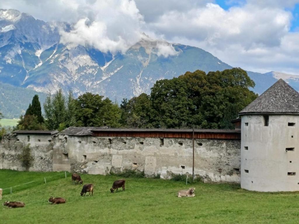 Příroda nedaleko apartmánu