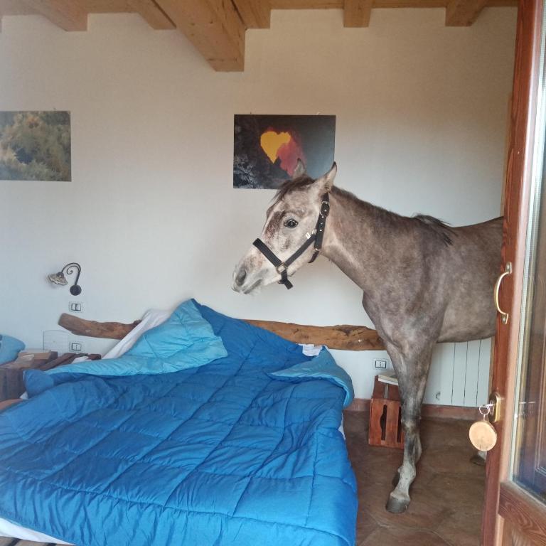 Agriturismo La Caraffara sull'Etna - Triple Room