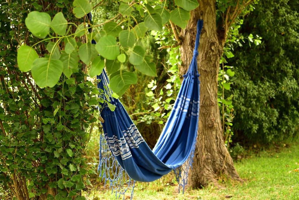 Κήπος έξω από το La Vecindad del Sol Depto H