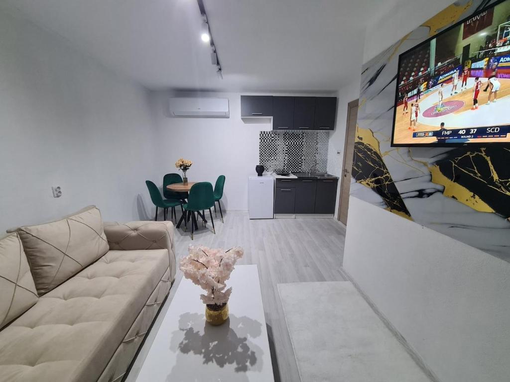 Una televisión o centro de entretenimiento en Box house M Andrijevica