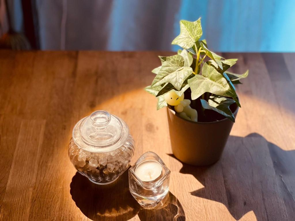 ein Holztisch mit einer Topfpflanze und einem Glasgefäß in der Unterkunft KT-HouSe Fukuoka ダブル in Sumiyoshi