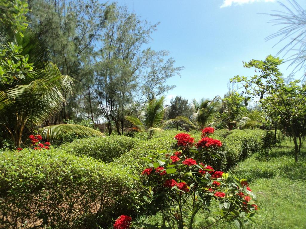 Zahrada ubytování Lotus an Eco Resort Konark