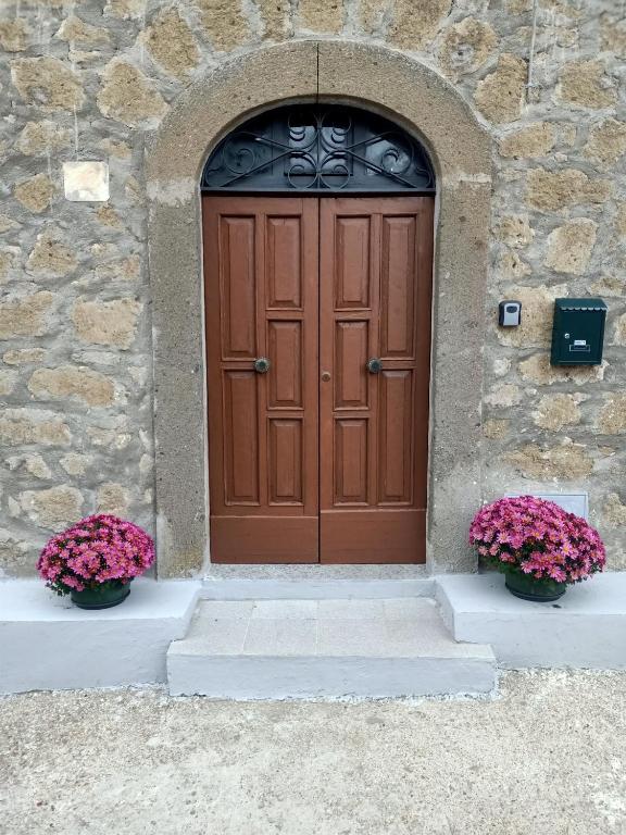 a wooden door in a stone building with two flowers at Le coste sul lago in Montefiascone