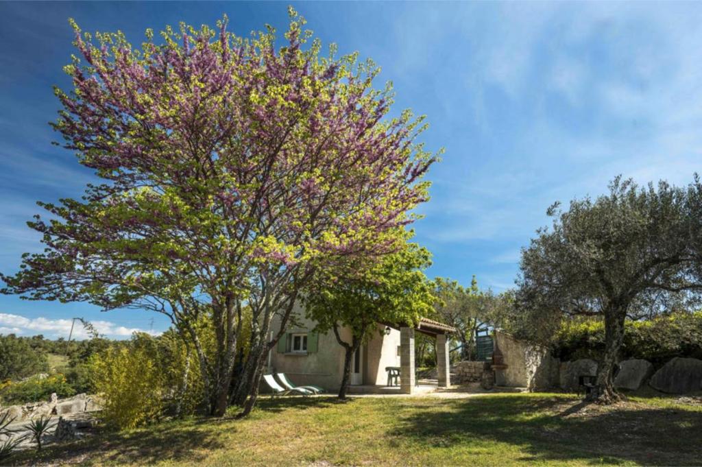 Κήπος έξω από το Gîte Clapas - Village De Gîtes