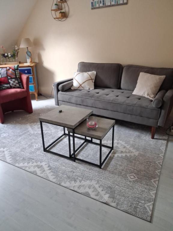 a living room with a couch and a coffee table at Studio des cygnes in Le Mans