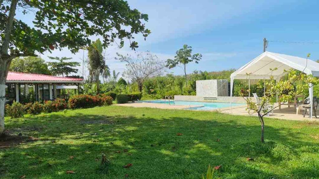 a yard with a swimming pool and a tent at Cómoda Finca de Descanso en Urabá in Estación El Salto