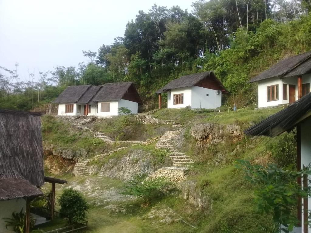 Příroda nedaleko penzionu