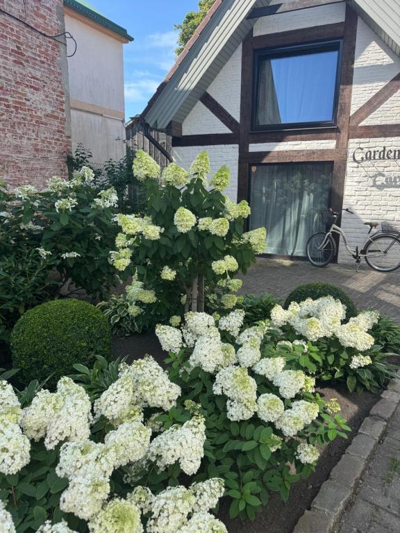 a garden of white flowers in front of a building at Garden House in Liepāja