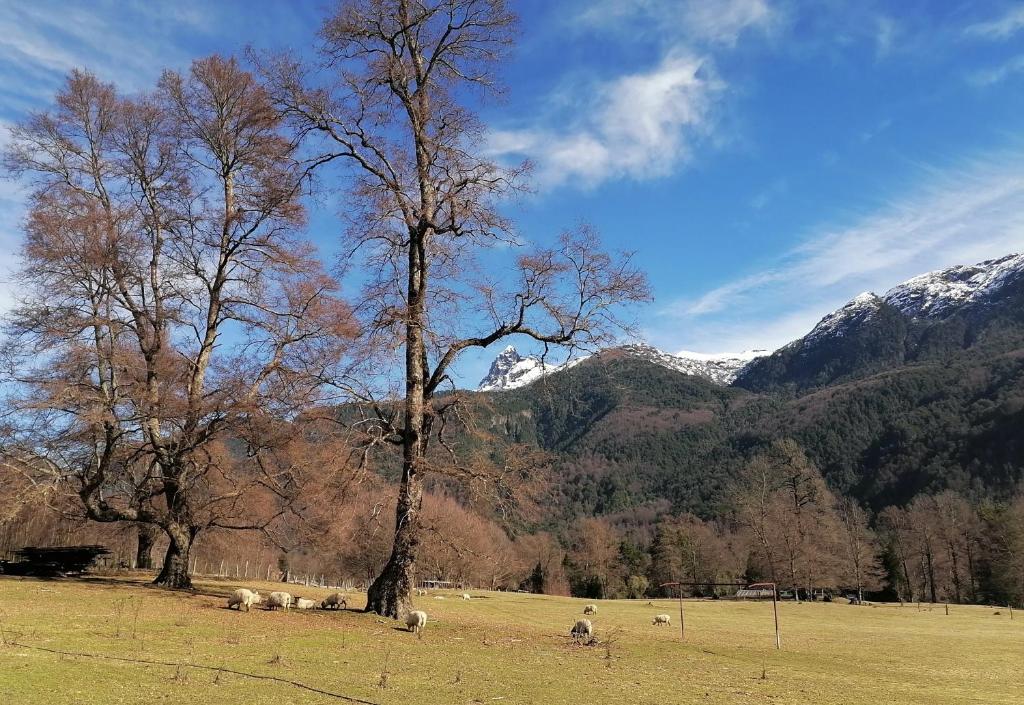 Φυσικό τοπίο κοντά σε αυτό το σαλέ