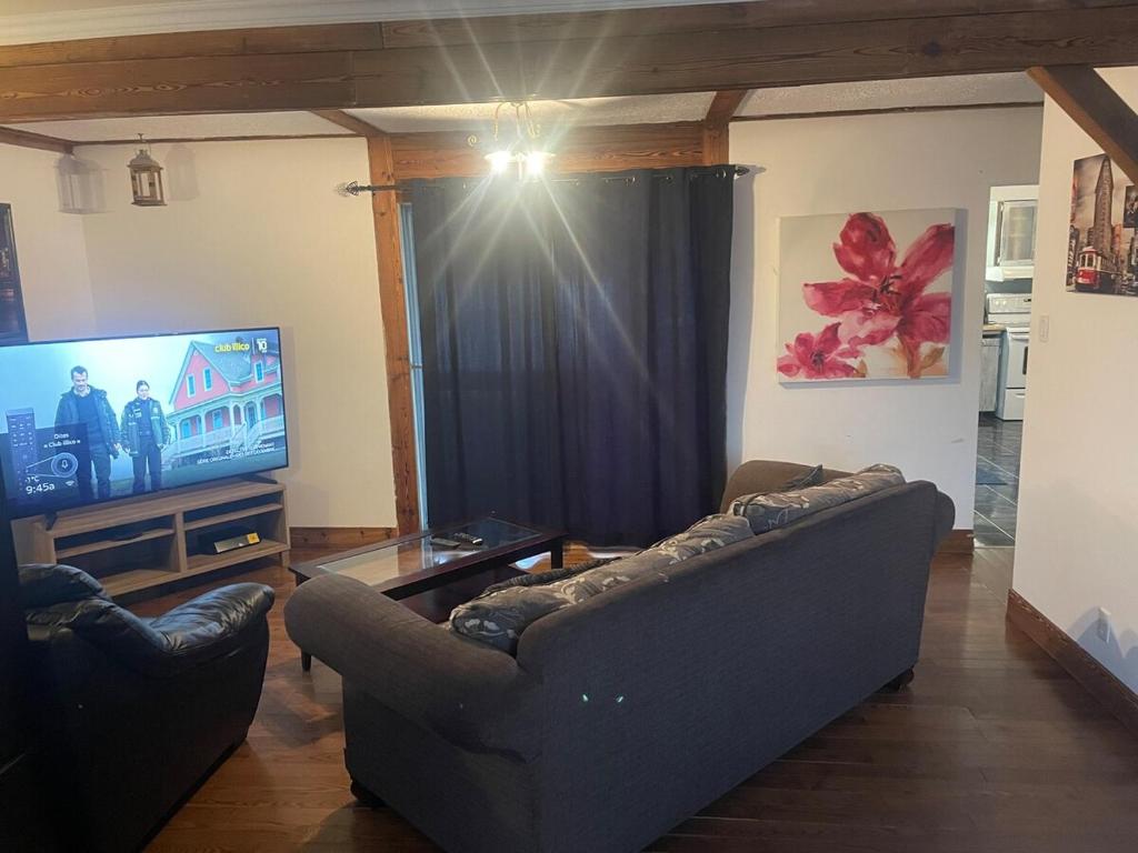 a living room with a couch and a television at Large Farm in Bélanger