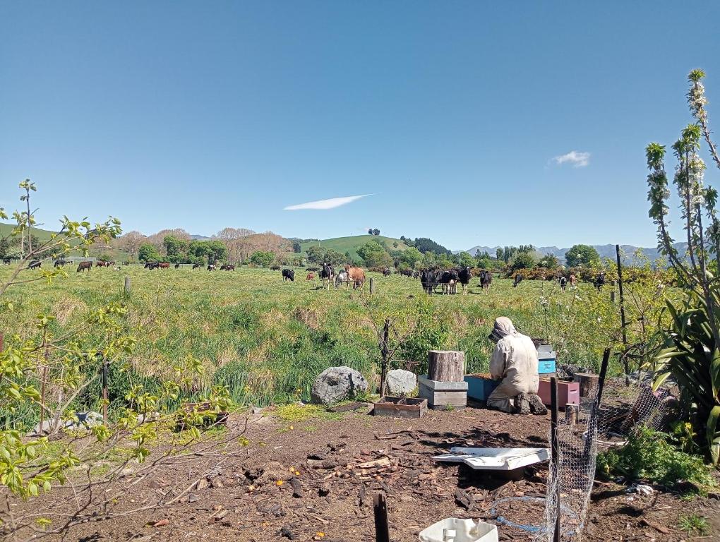 The Lazy Shag Lodge - Resim 33