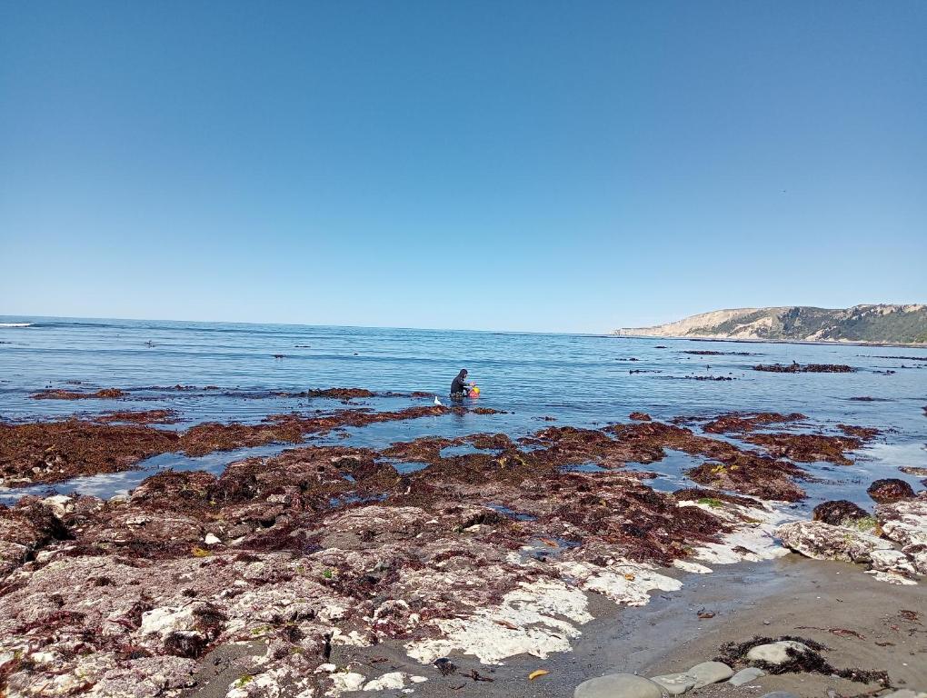 The Lazy Shag Lodge - Resim 36