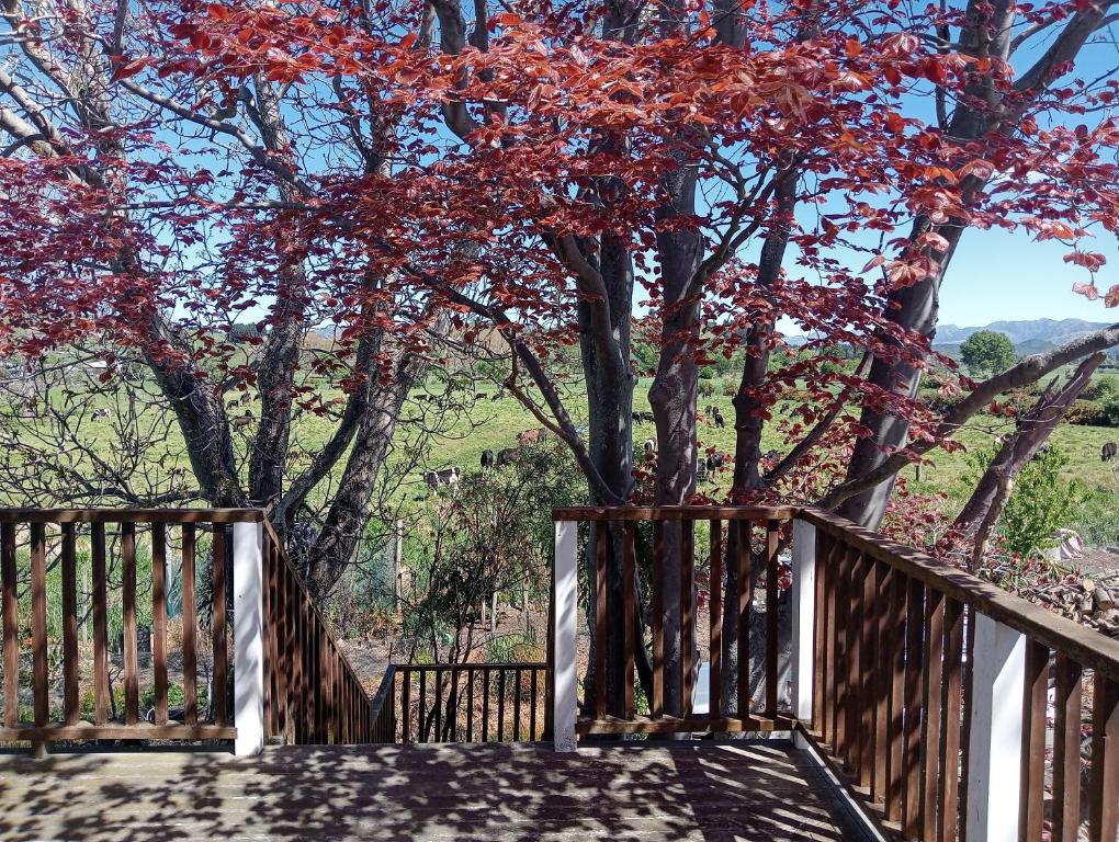 The Lazy Shag Lodge - Resim 38